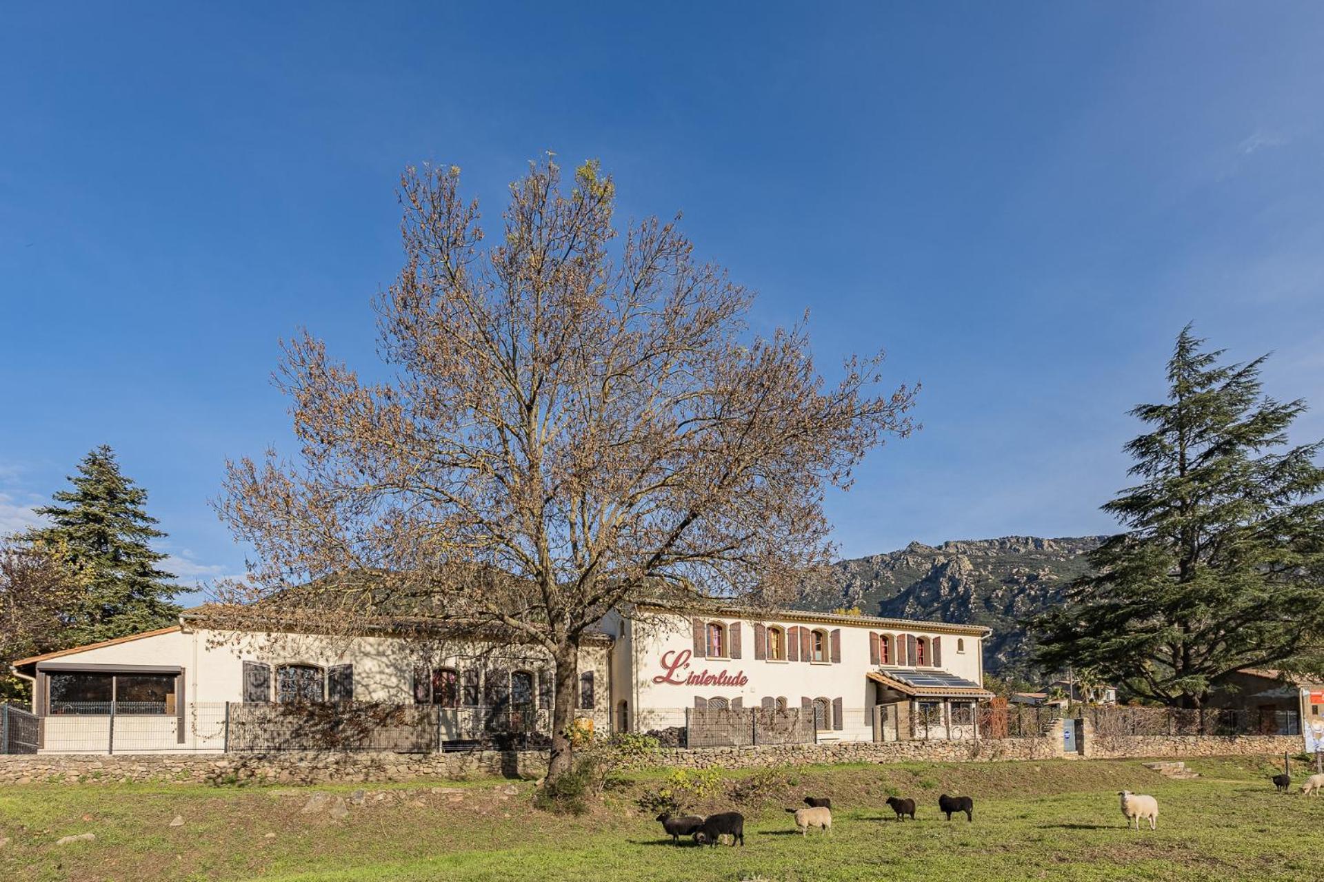 Bed and Breakfast L'Interlude Mons  Exterior foto